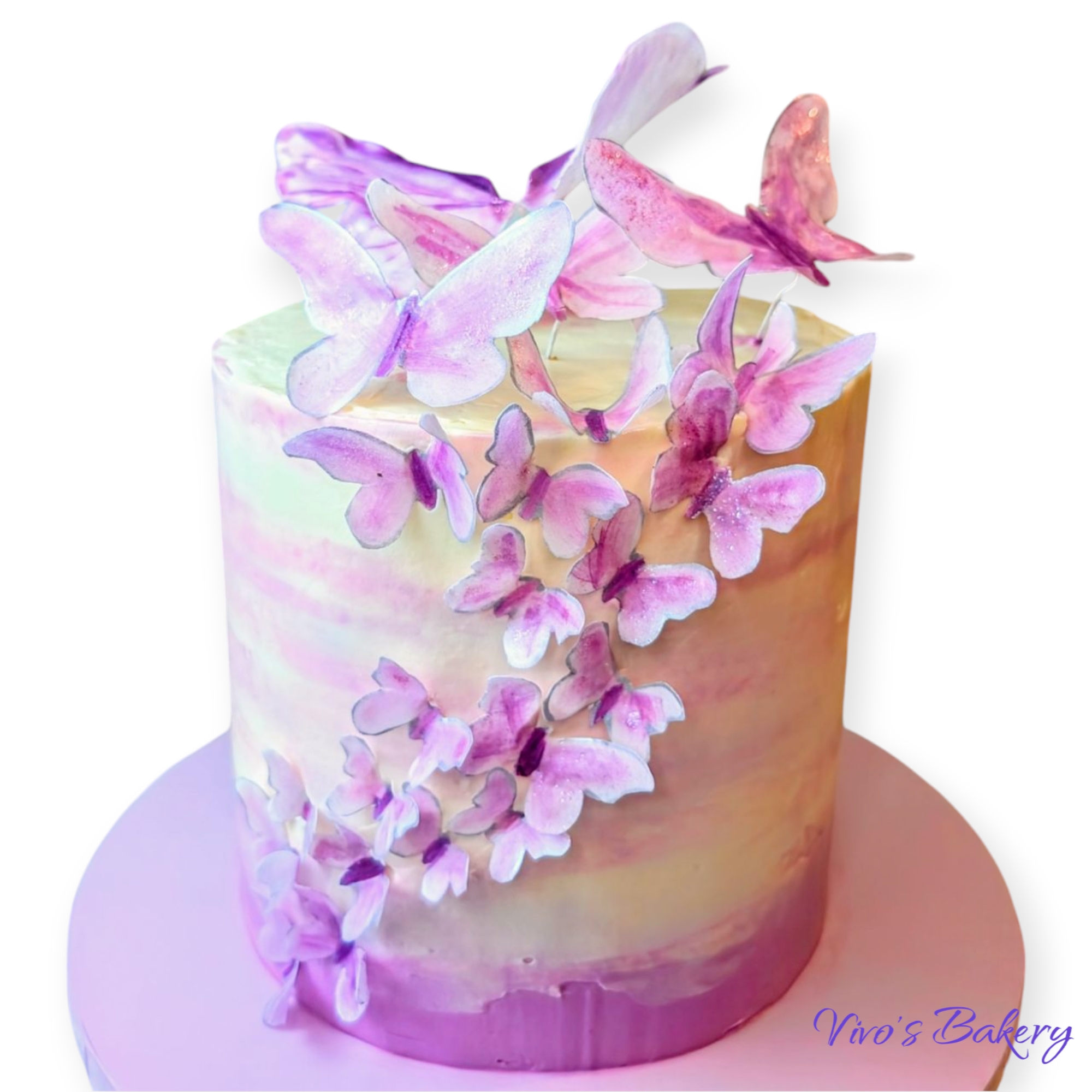 tort butterflies